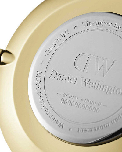 Daniel Wellington Petite Evergold DW00100345