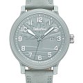 Часы Timberland Driscoll TDWGB0010703