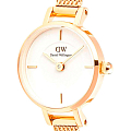 Часы Daniel Wellington Petite Mini Champagne Melrose DW00100745 фото 2