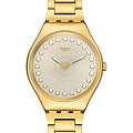Часы Swatch Skin Irony SYXG126G
