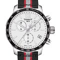 Часы Tissot Quickster NBA Toronto Raptors T095.417.17.037.16